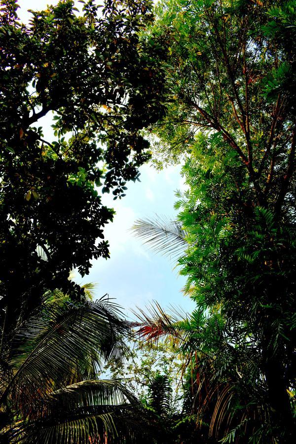 Villa Tulip Garden Anuradhapura Exteriör bild