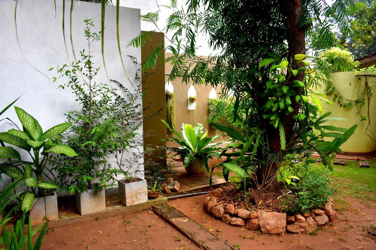 Villa Tulip Garden Anuradhapura Exteriör bild