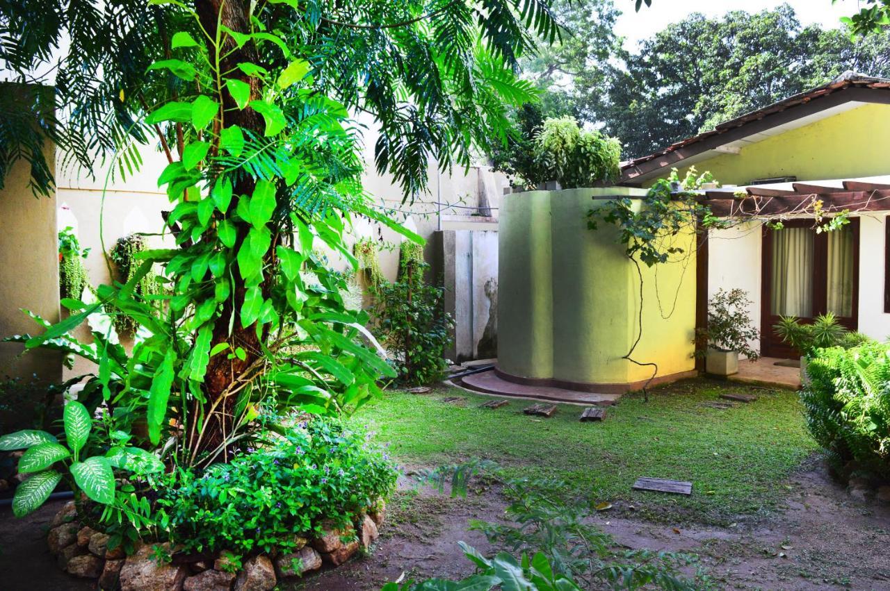 Villa Tulip Garden Anuradhapura Exteriör bild